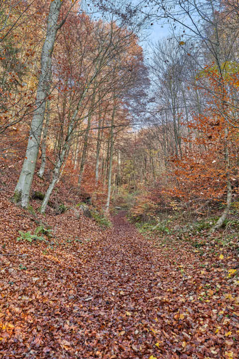 Gemeinde Julbach Landkreis Rottal-Inn Schlossberg Herbst (Dirschl Johann) Deutschland PAN